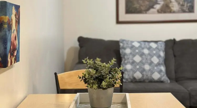 Cute Downtown APT Quick Safe Walk to PPG Arena, Забронировать Апартаменты/квартира Апартаменты Питтсбурга, рядом с Western Pennsylvania Sports Museum, Апартаменты/квартира