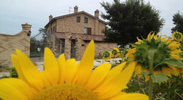 Agriturismo bio Verde Armonia, Rezervovat Hotel  