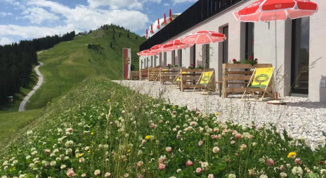 Номер Standard Schmiedhof Alm