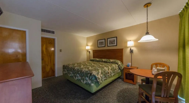 Двухместный номер Standard с видом на бассейн Attache Motel