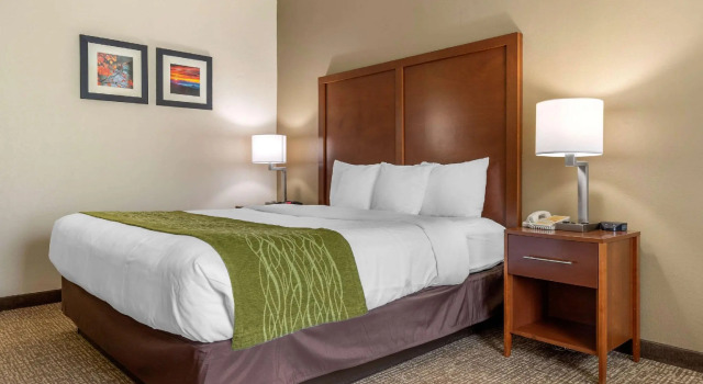 Двухместный номер Standard Comfort Inn Asheville Airport