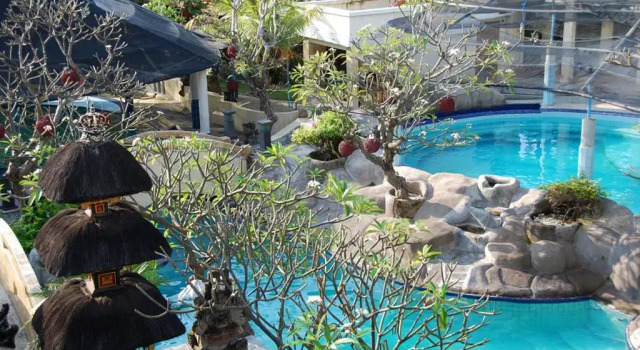 Люкс Dolphin Hotel Bali