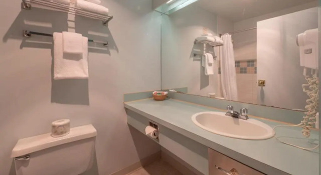 Двухместный номер Standard The Cedars Inn Hotel & Convention Centre