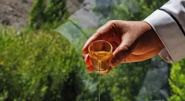 Hotel Ladakh Retreat