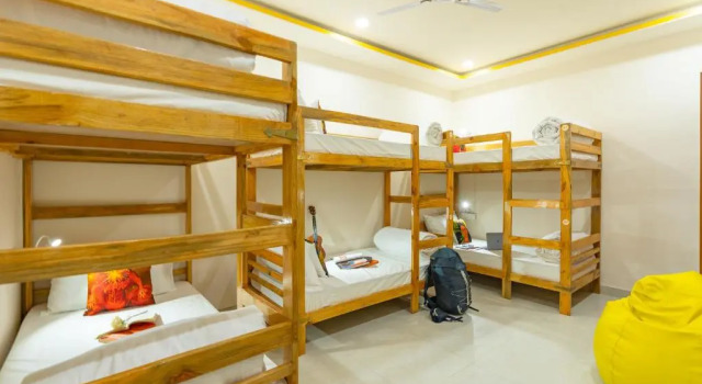 Кровать в общем номере (женский номер) The Social Stays Jaipur
