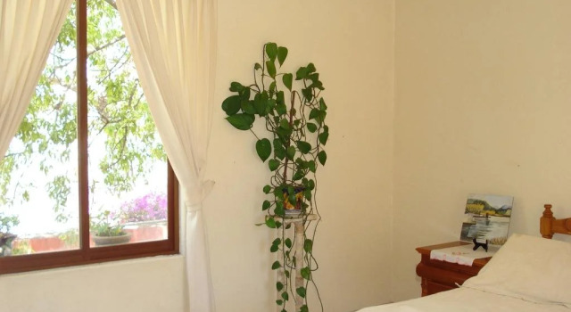 Hotel La Casa Bixi, Rezervovat Hotel 3hvězdičkové hotely v Hidalgo, 3*