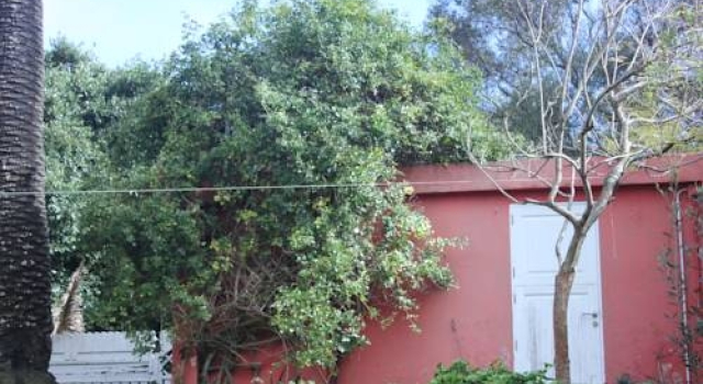 El Perenquen, Prenota Appartamento Las Palmas de Gran Canaria Gran Canaria