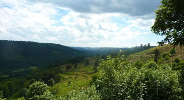 Люкс La Bergerie du Plateau