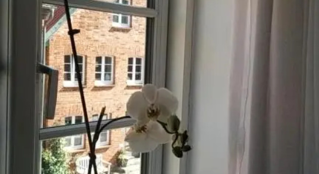 Двухместный номер Standard с видом на город Gästehaus 22 am Klostergarten
