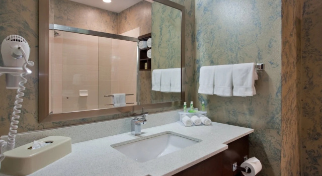 Люкс c 1 комнатой Holiday Inn Express & Suites St Louis Airport by IHG