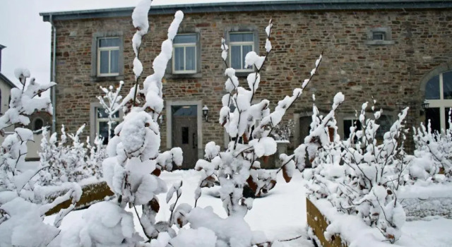 B&B Le Tapis Rouge, Забронировать Отель «постель и завтрак» Вьельсальм Land of Vielsalm and Gouvy