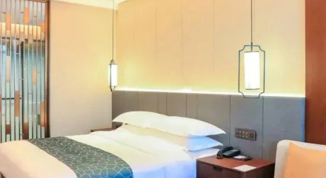 Номер Deluxe Yun-Ray Phoenix Hotel