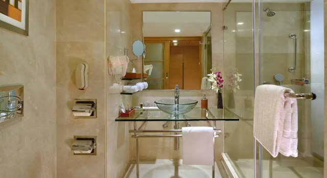 Двухместный номер Business Radisson Mumbai Goregaon