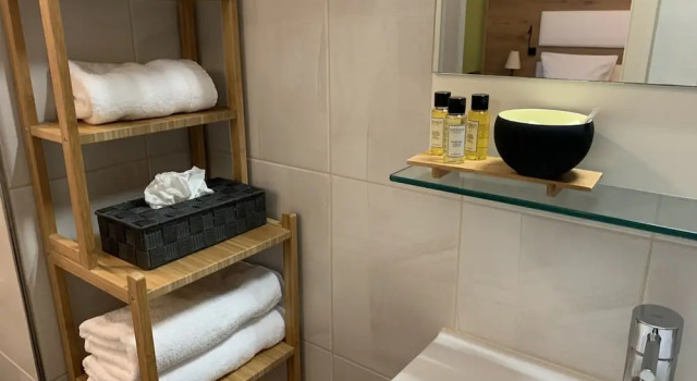 Номер Premium Hôtel LAuberge Alsacienne