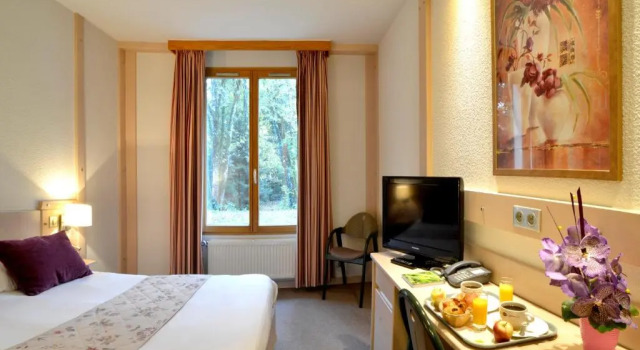 Двухместный номер Standard Logis Hôtel Le Bois Dormant-Hôtel Restaurant & Spa