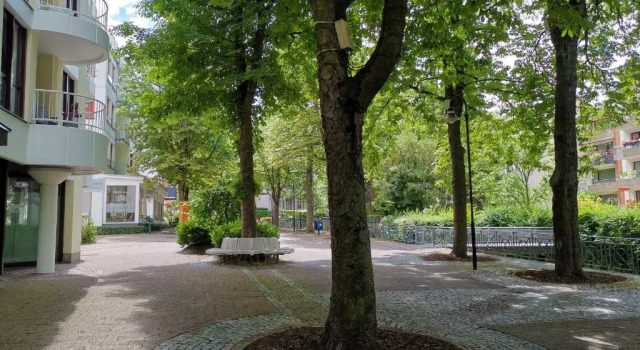 Апартаменты Apartment Mittendrin in Bad Harzburg