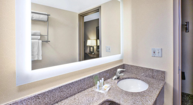 Двухместный номер Standard Holiday Inn National Airport/Crystal City by IHG