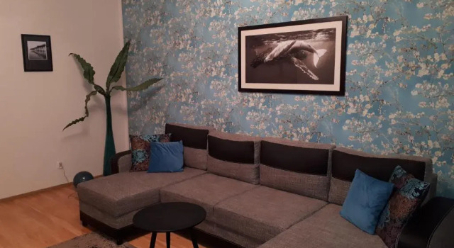 Апартаменты Apartament Galeria Warmińska