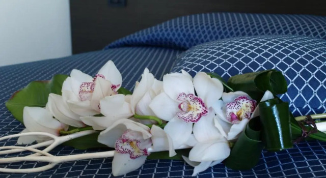 Двухместный номер Standard Draconerium Hotel