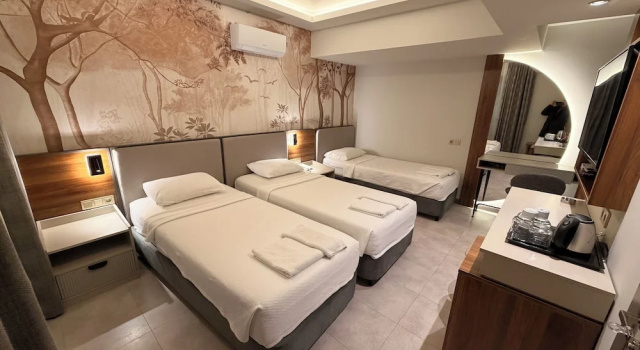Одноместный номер Deluxe Ida Hotel