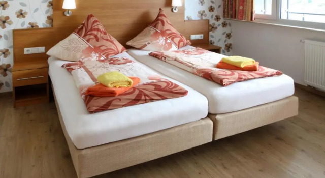 Двухместный номер Comfort Hotel Rheinkönig
