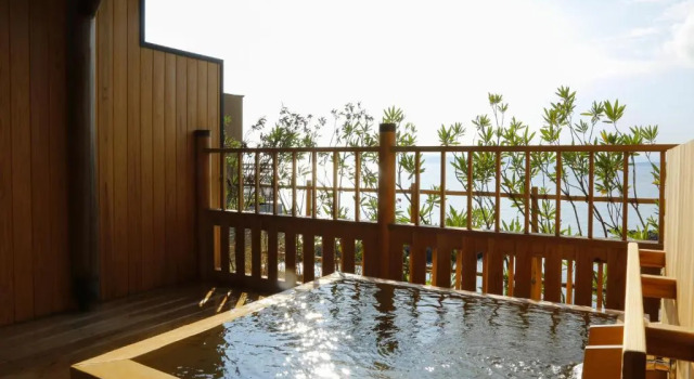 Номер Deluxe Hotel New Awaji