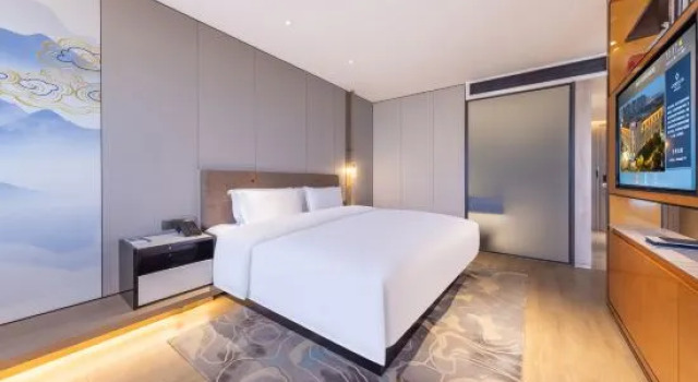 Люкс LANDISON Yuyao Hotel