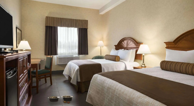 Четырёхместный номер Standard Travelodge by Wyndham Strathmore