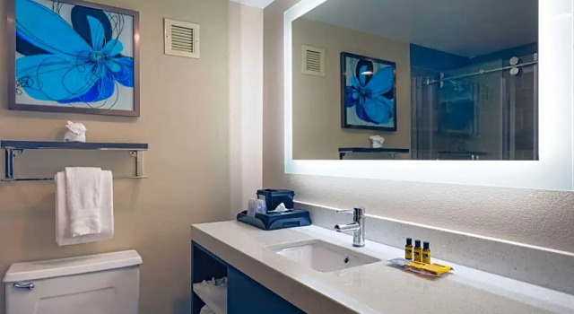 Четырёхместный люкс c 1 комнатой Best Western Plus Greenville I-385 Inn & Suites