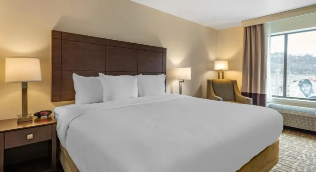 Двухместный номер Standard Comfort Inn & Suites Pittsburgh-Northshore