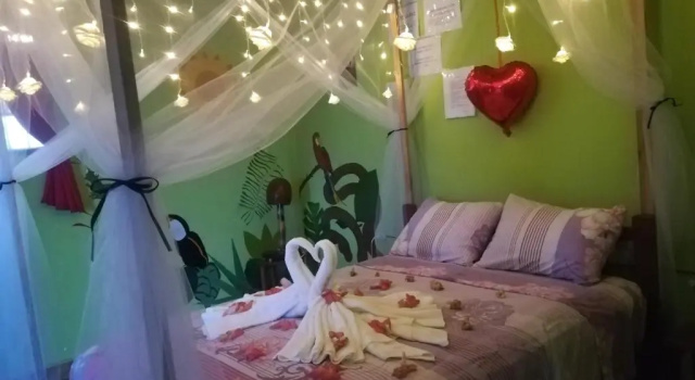 Двухместный номер Standard Perezoso Hostel