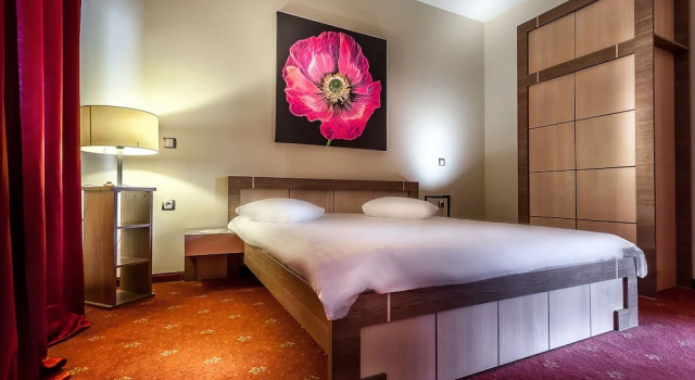 Номер Premium Business Hotel Conference Center & Spa