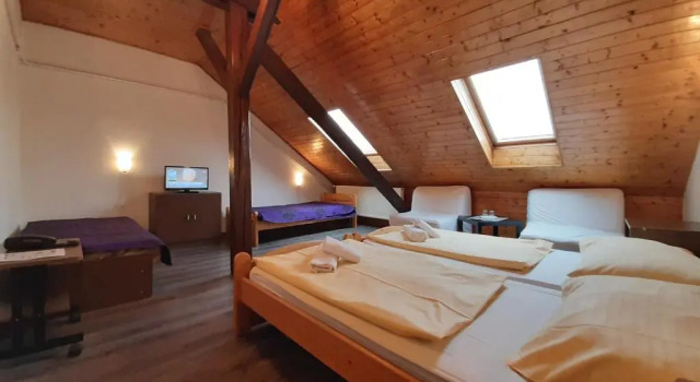 Standard Vierer Zimmer Hotel Olga