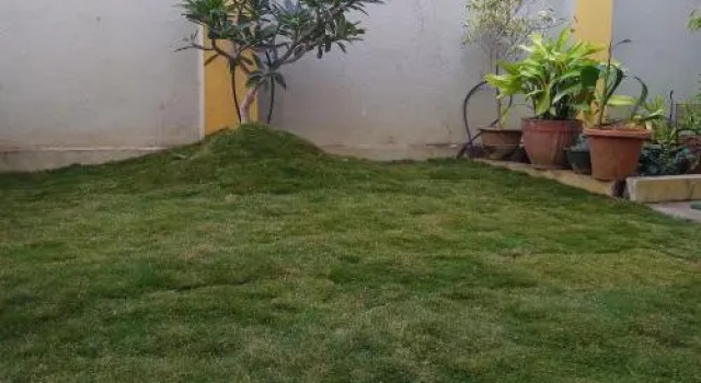 Individual Bungalow In Peaceful Surroundings