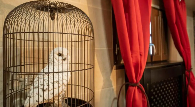 Апартаменты Le Refuge du Sorcier - Enigme & Magie - Libourne