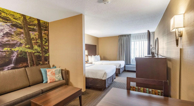 Четырёхместный люкс Clarion Pointe Harrisonburg