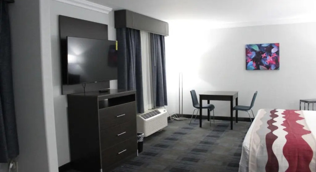 Одноместный люкс Best Western Medical Center North Inn & Suites Near Six Flags