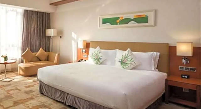 Одноместный люкс Deluxe Cinese Hotel Dongguan Shijie
