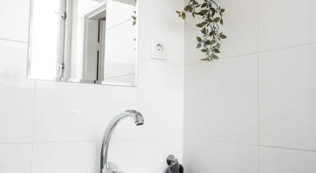 Apartamento De lujo The Lion King