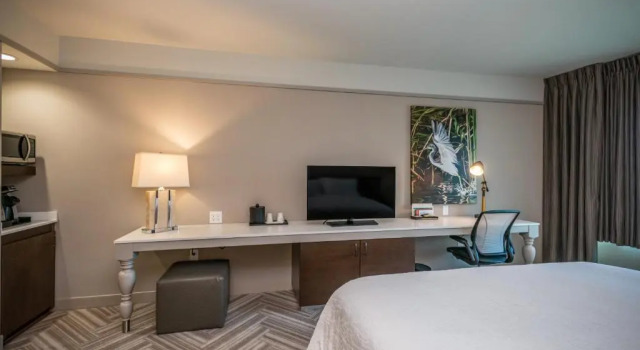 Номер Standard с видом на парк Hilton Garden Inn Mobile Downtown