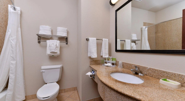 Четырёхместный номер Standard Holiday Inn Express Hotel & Suites Sherman Highway 75 by IHG