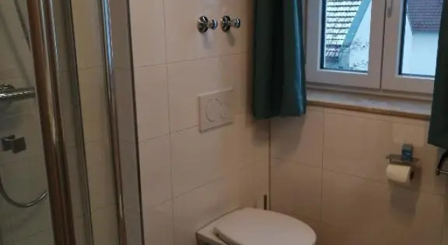 Одноместный номер Deluxe Hotel im Gässle