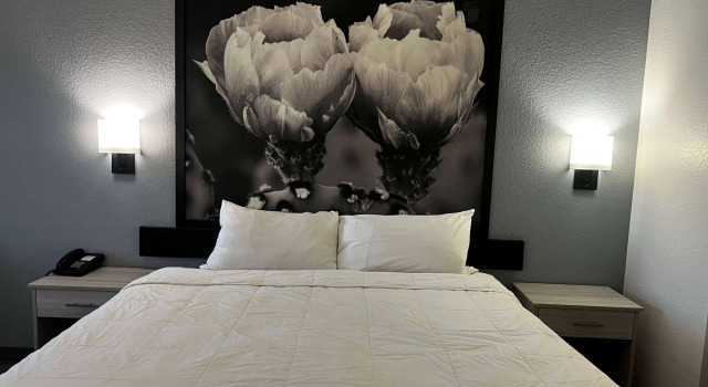 Super 8 Rosenberg, Book Mini-hotel Rosenberg Houston