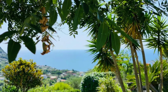 Апартаменты Casa Ischitana