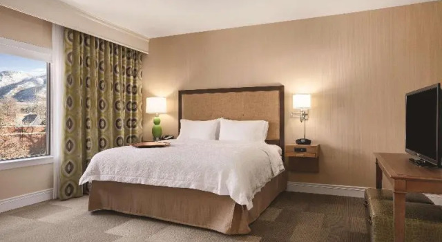 Студия Hampton Inn Brigham City
