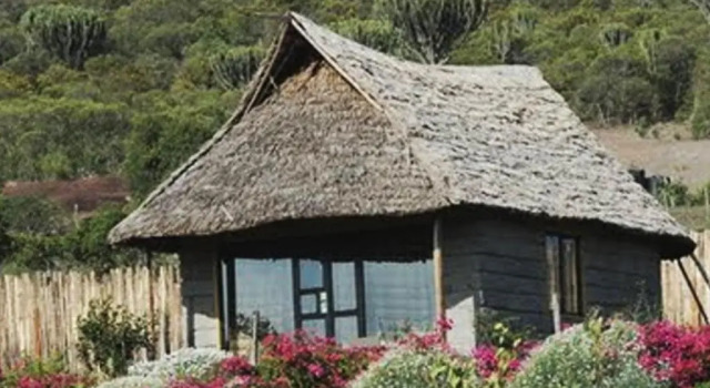 Шале Rhino Watch Safarilodge