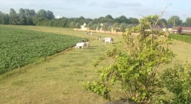 Begijnhof 13 Holiday Home
