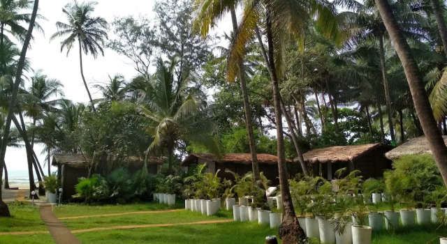 Deluxe Bungalow Mamagoa Resort