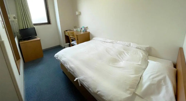 Номер Standard Business Hotel Rupinasu