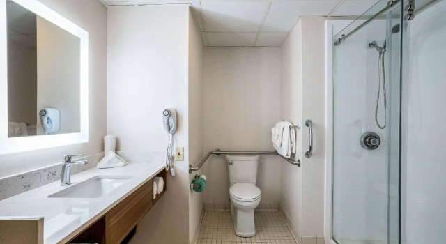 Dwuosobowy suite Quality Suites Hotel - Lansing